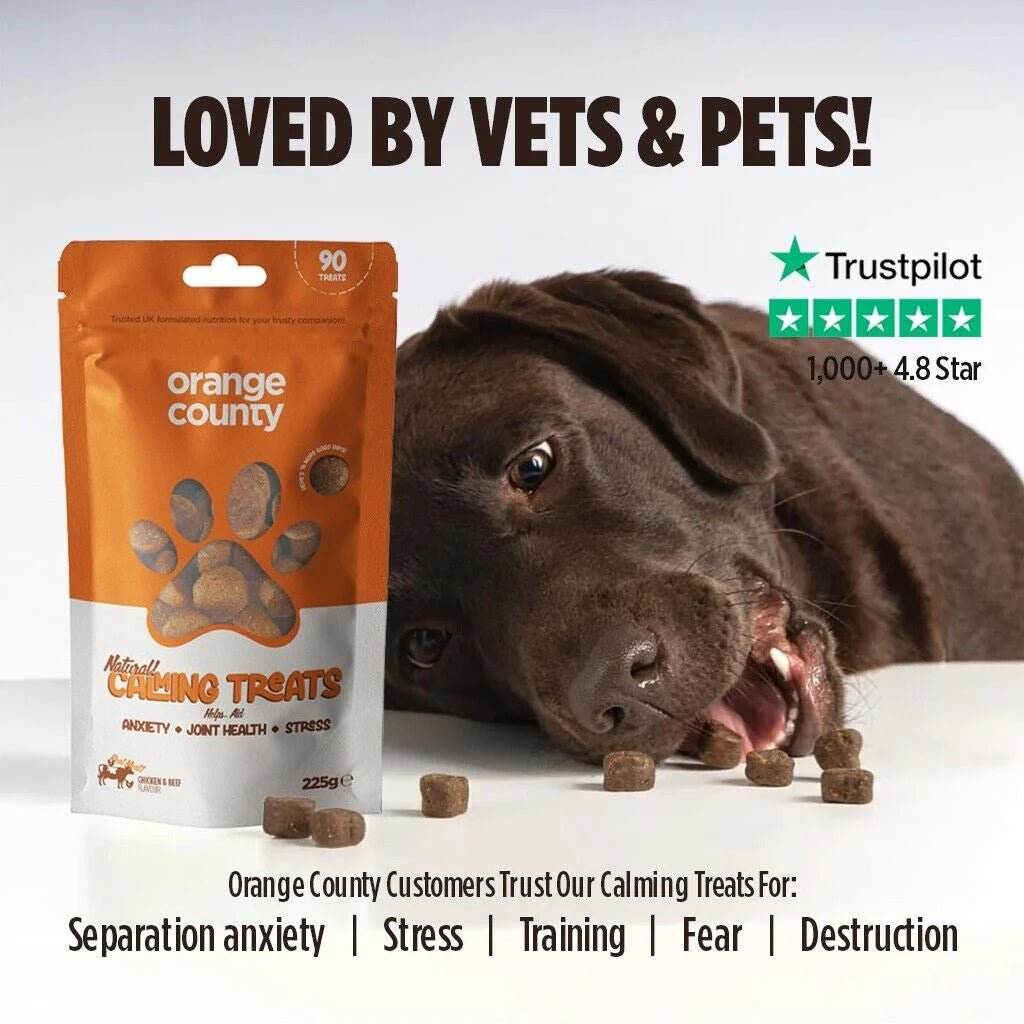 Orange County Natural Calming Dog Treats - 90 pack CBD pet treats for anxiety relief
CBD dog treats for calming anxiety - broad spectrum THC-free pet wellness treats
Happy relaxed dog after taking Orange County natural calming CBD treats